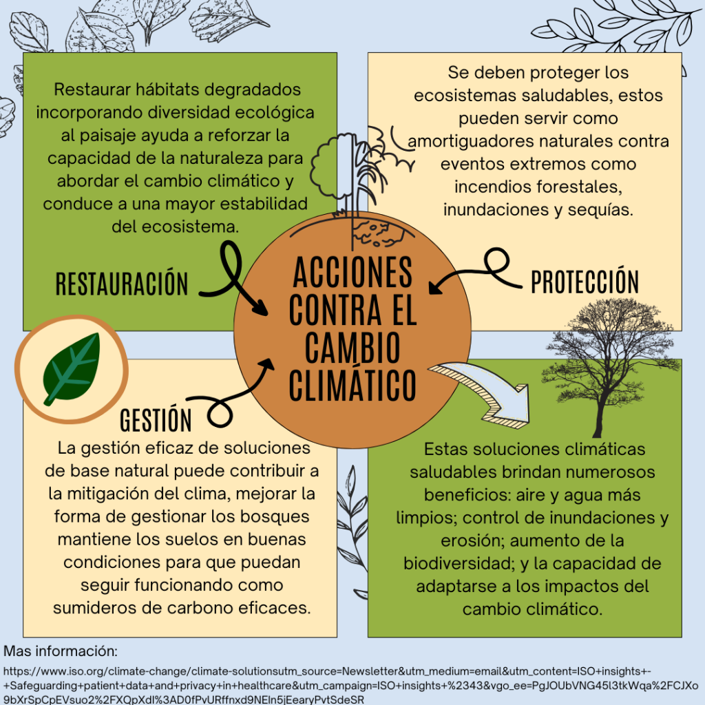 acciones contra el cambio climático